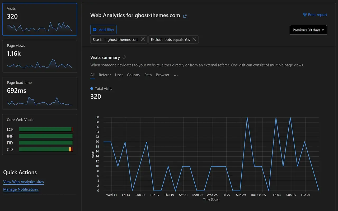 Website statistics